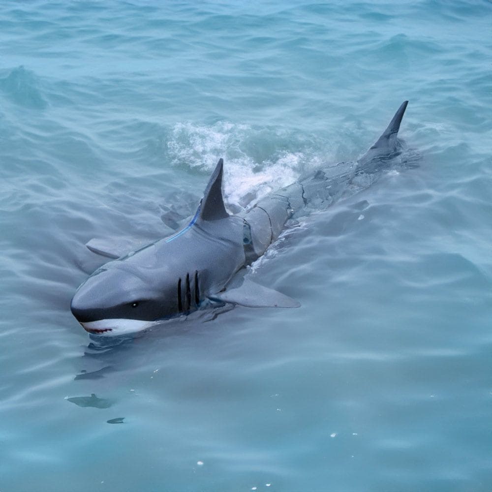 RC-haj för fjärrkontroll i vattnet med en kontroller
