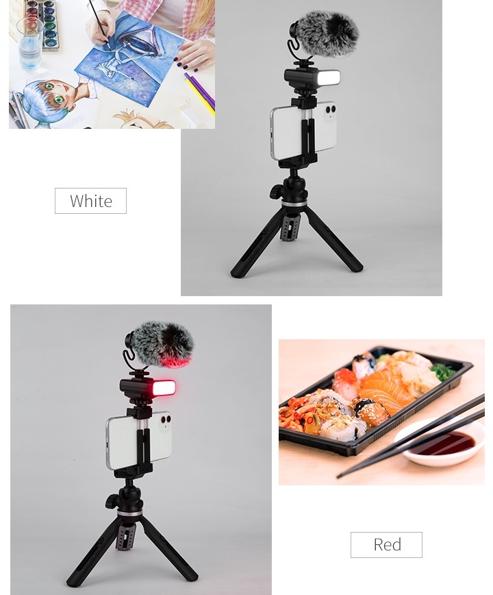 stativ för mobiltelefon (selfiehållare) + mikrofon och ljus