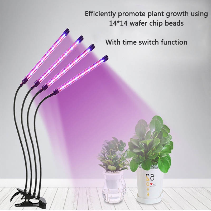 svanhalslampa för växter växer